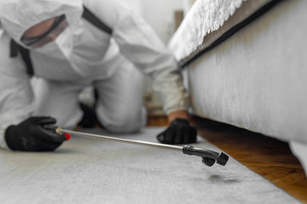 Professional Termite Control technician working in Kidron, OH