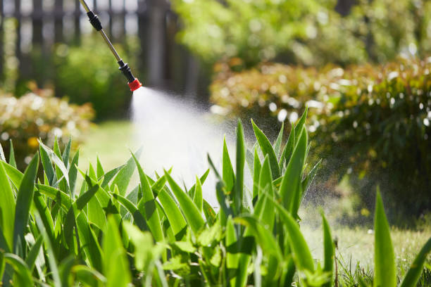 24/7 Emergency Termite Control experts in Kidron, OH
