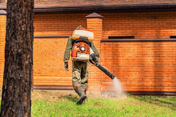 Top rated local Termite Control specialists in Kidron, OH